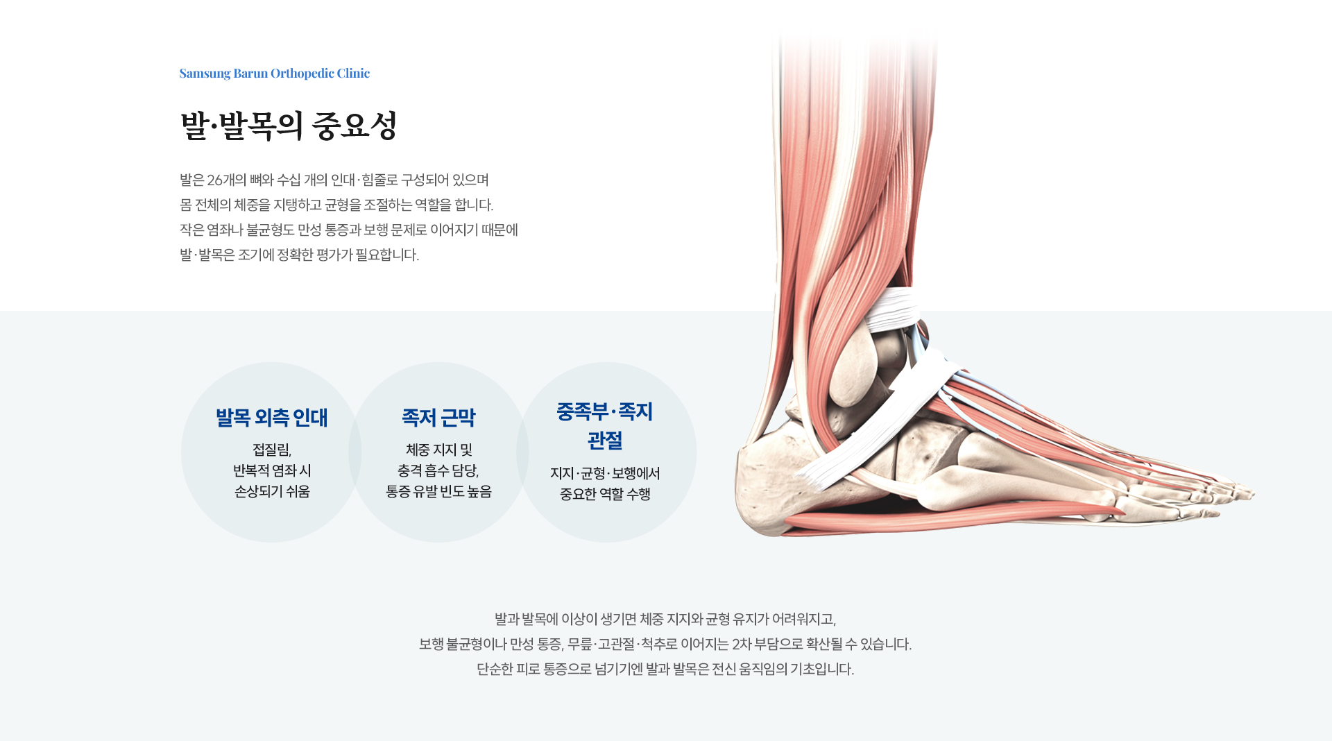 팔 이미지