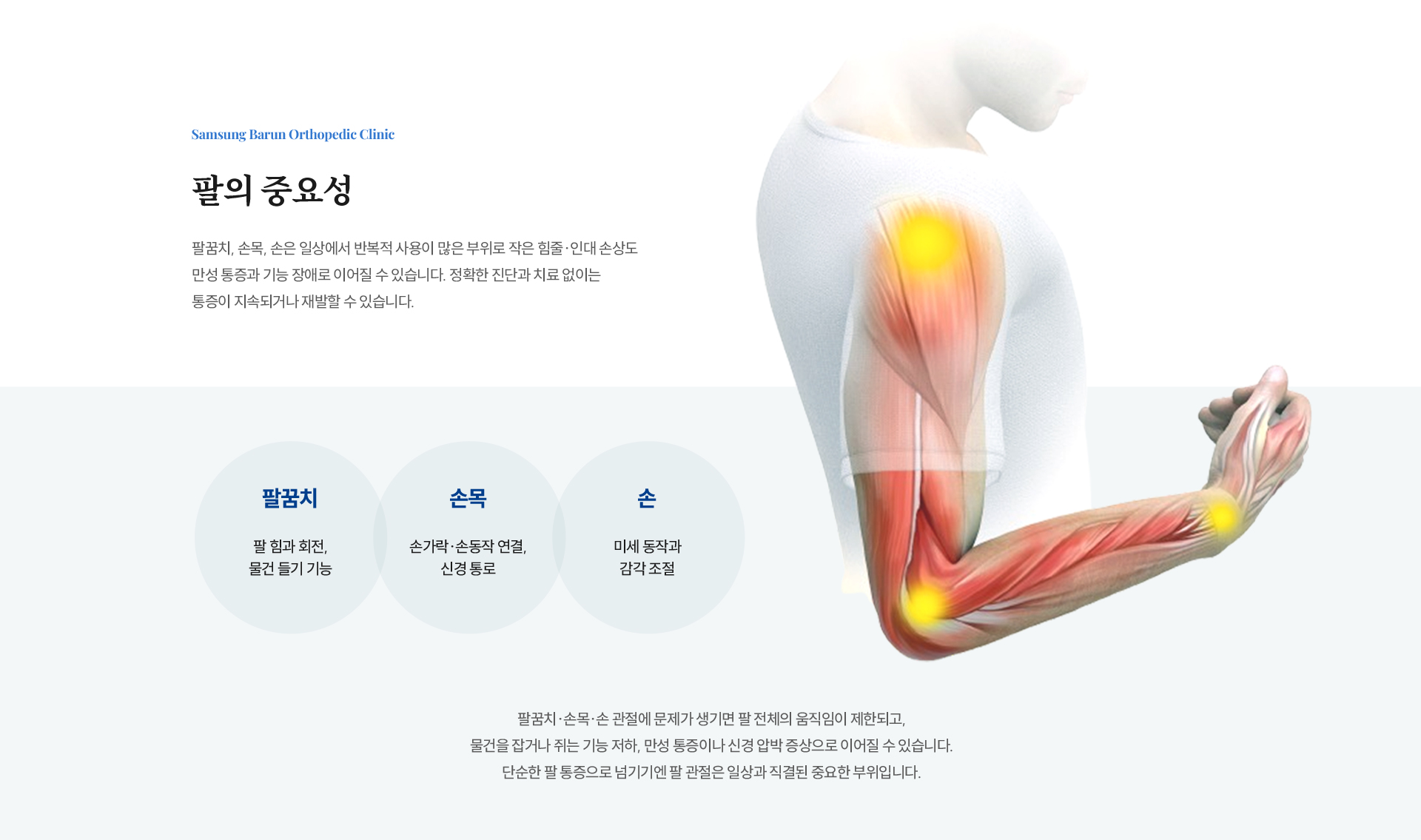 팔 이미지